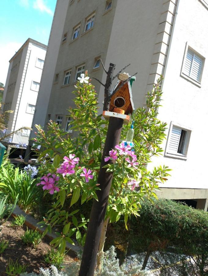 Apartamento Apto Em